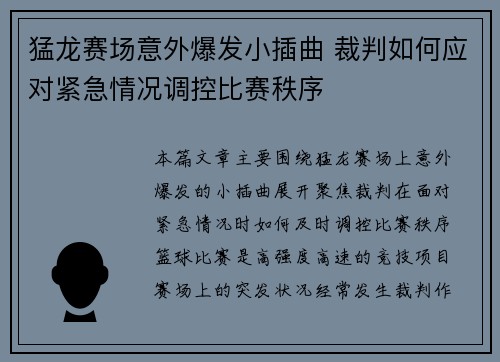 猛龙赛场意外爆发小插曲 裁判如何应对紧急情况调控比赛秩序